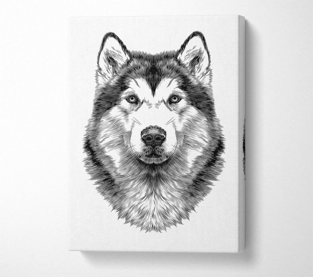  A Canvas Print of Husky Wolf Canvas Art