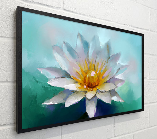 Water Lily