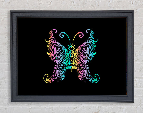 Indian Butterfly Framed Print