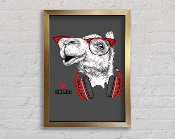 Camel I Love Music Framed Print