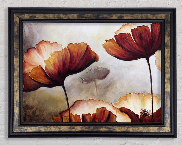 Chocolate Poppy Skies 2 Framed Print