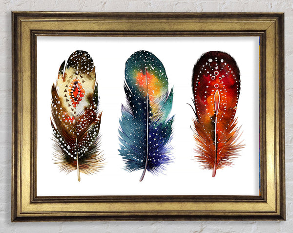 Indian Feathers Framed Print