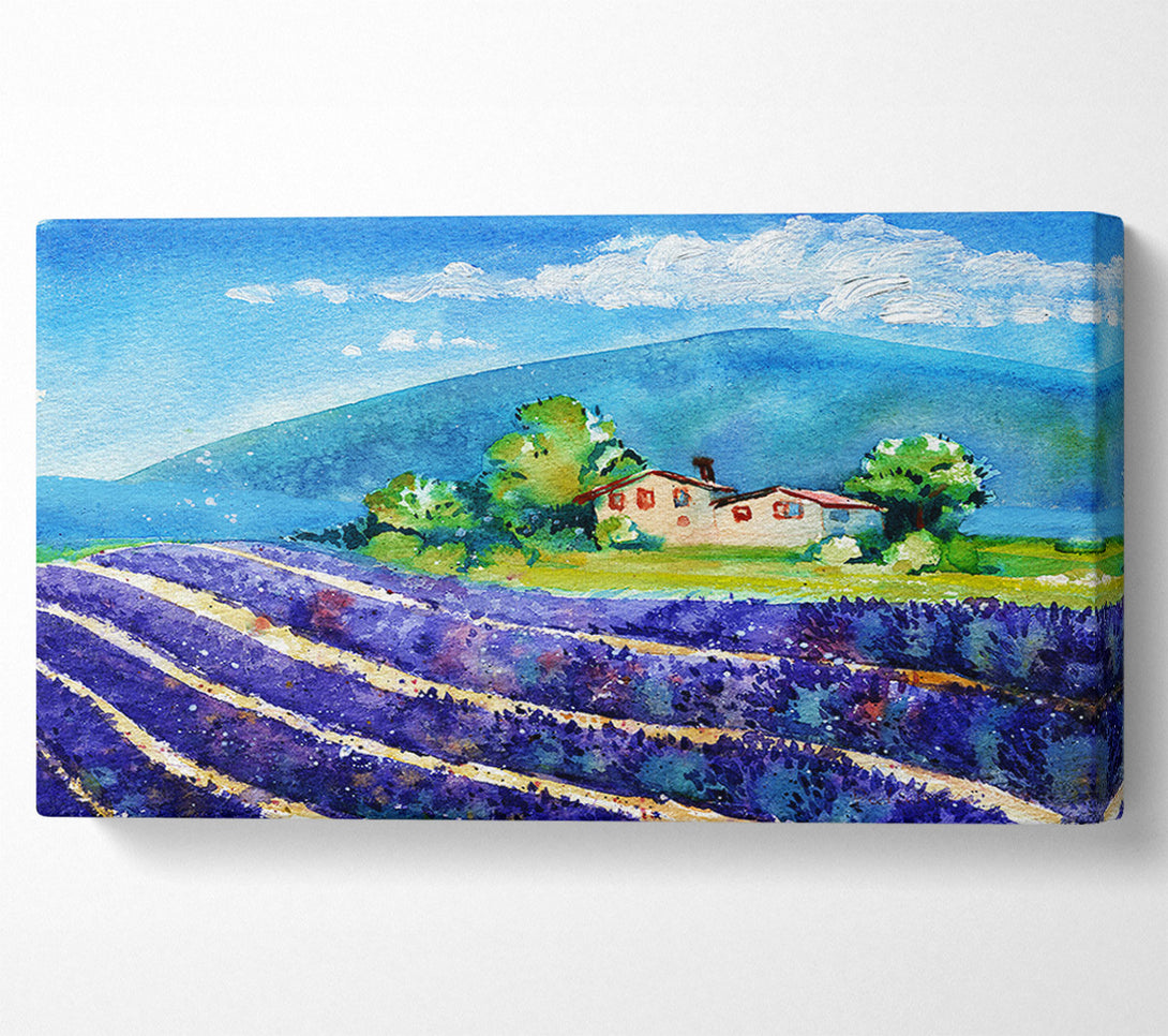  A Canvas Print of Lavender Fields In France Canvas Wall Art