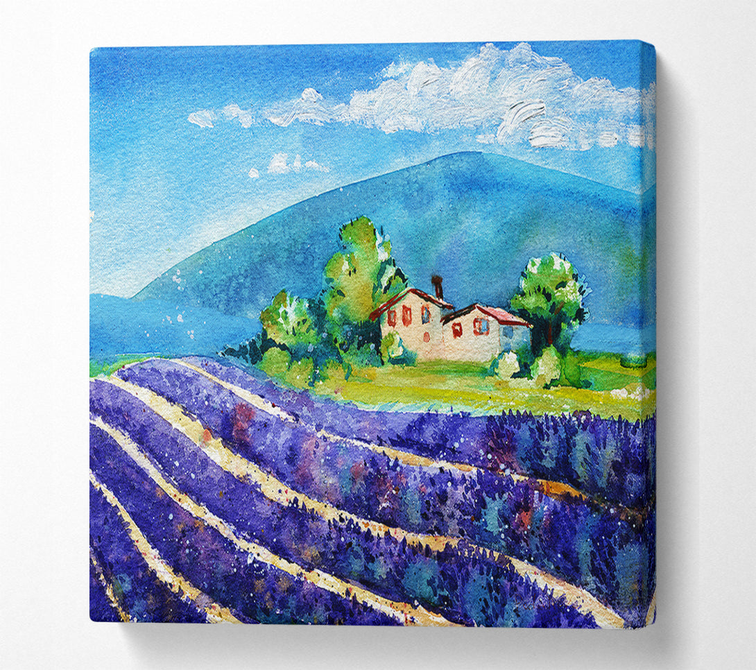  A Canvas Print of Lavender Fields In France Canvas Wall Art