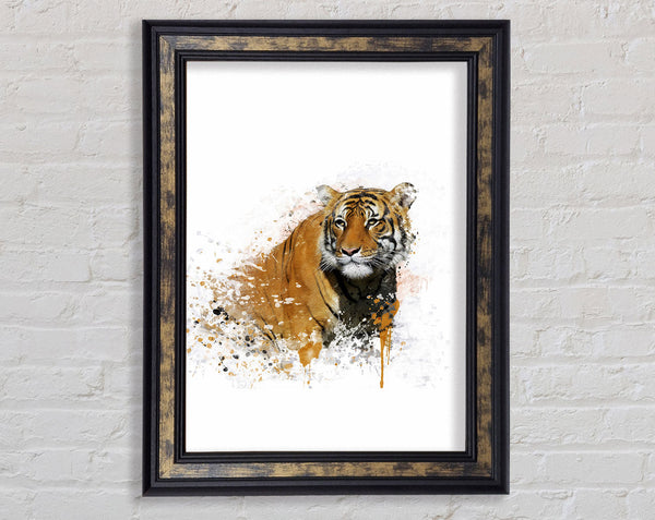 Tiger Splash Framed Print