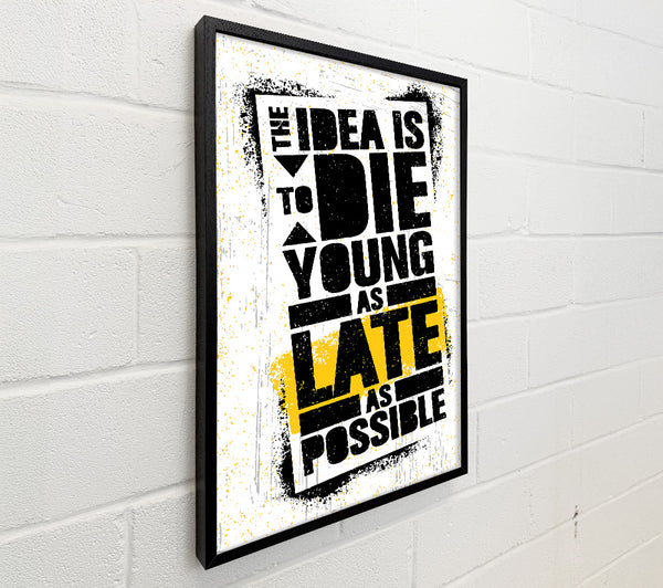 The Idea Is To Die Young