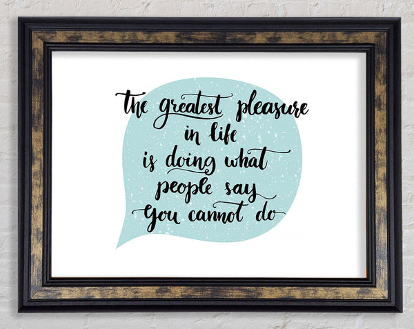 The Greatest Pleasure In Life 1 Framed Print