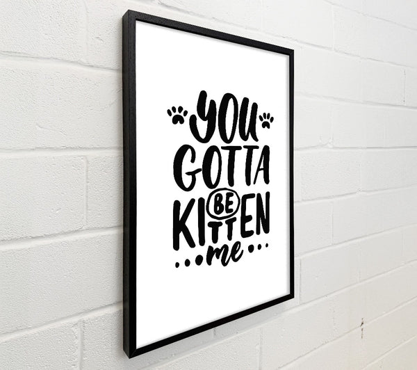 You Gotta Be Kitten Me