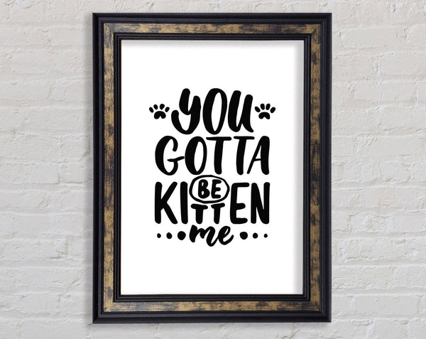 You Gotta Be Kitten Me Framed Print