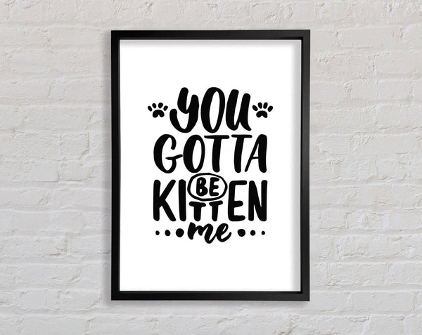 You Gotta Be Kitten Me Framed Print