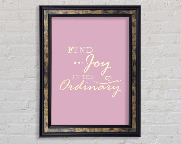 Find Joy In The Ordinary Framed Print