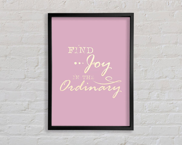 Find Joy In The Ordinary Framed Print
