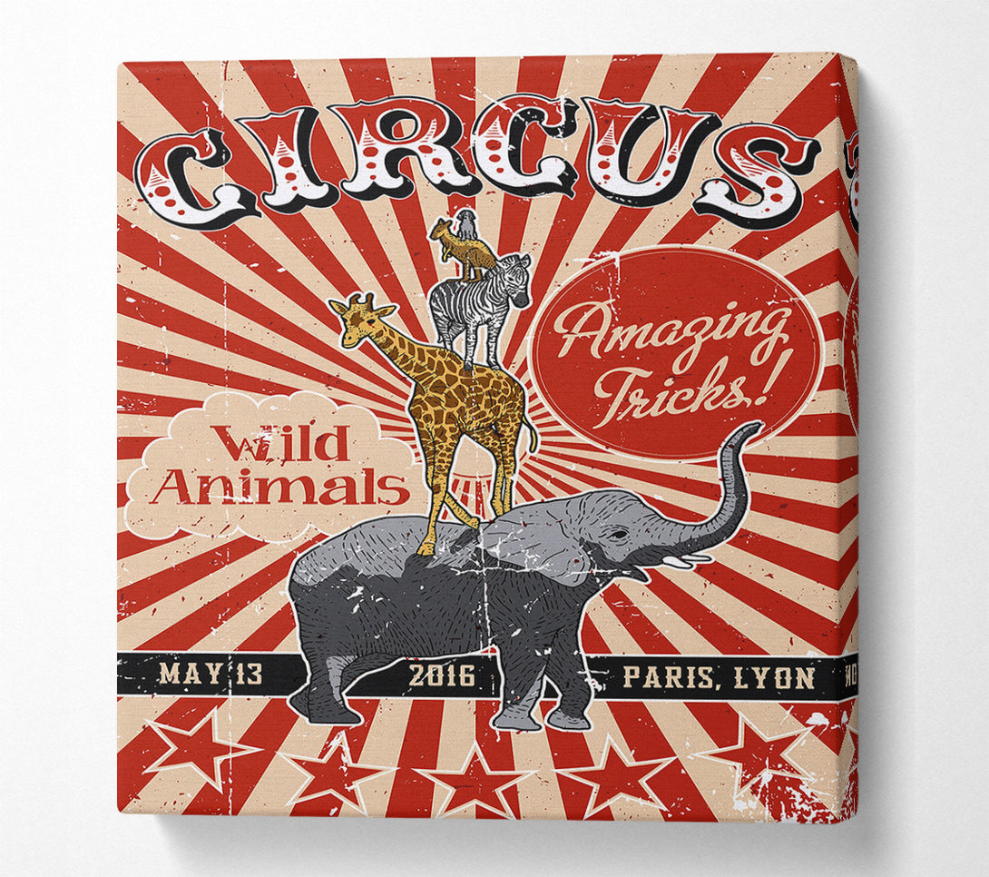  A Canvas Print of Circus Amazing Tricks Canvas Wall Art