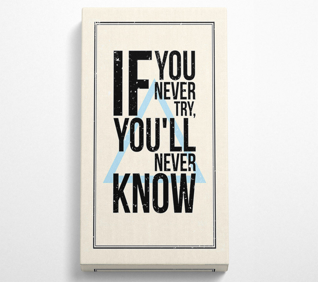  A Canvas Print of If You Never Try Canvas Print