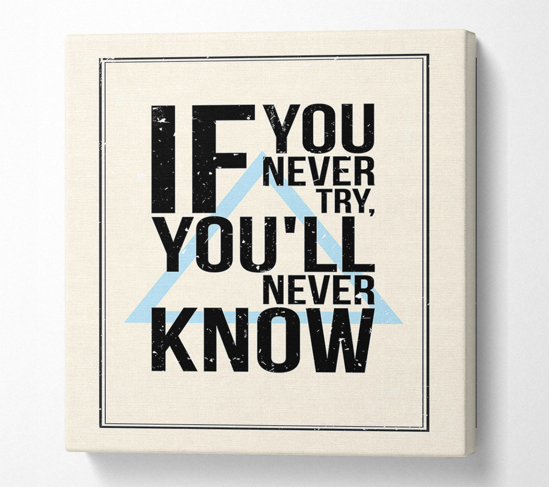  A Canvas Print of If You Never Try Canvas Print