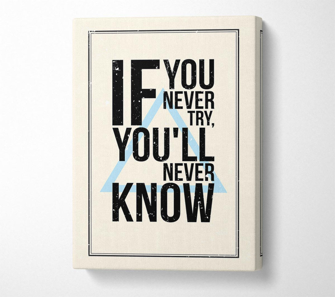  A Canvas Print of If You Never Try Canvas Print