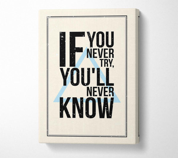  A Canvas Print of If You Never Try Canvas Print