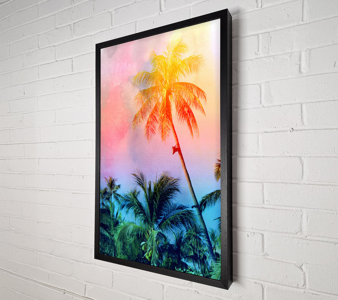  A Canvas Print of Palm Tree Blaze Canvas Print