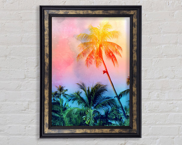 Palm Tree Blaze Framed Print