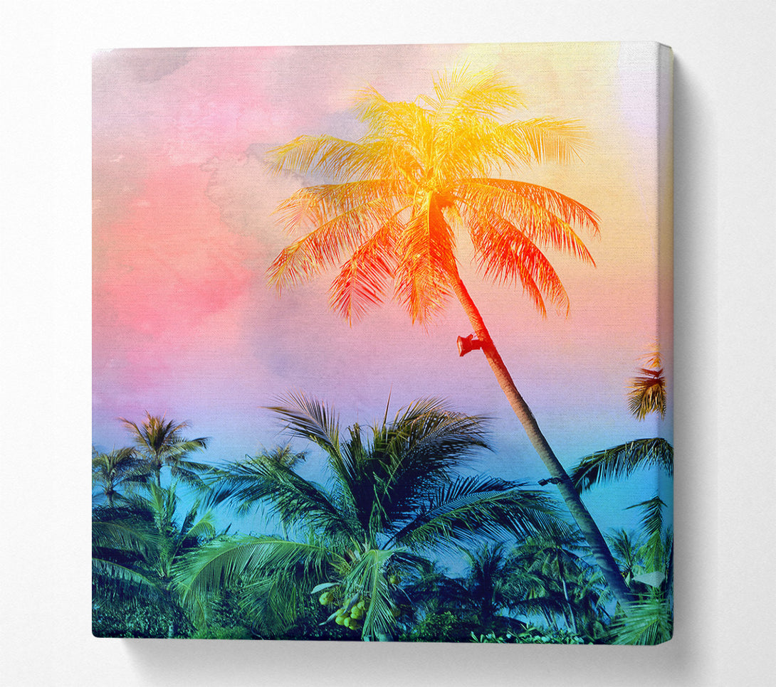  A Canvas Print of Palm Tree Blaze Canvas Print