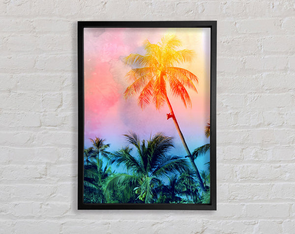 Palm Tree Blaze Framed Print