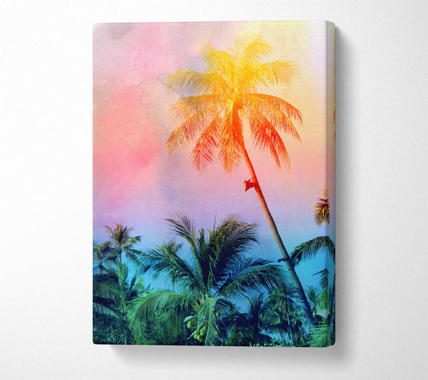  A Canvas Print of Palm Tree Blaze Canvas Print