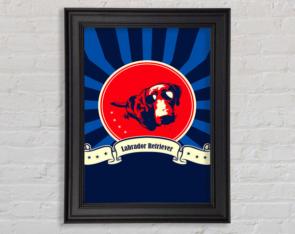 Labrador Retriever Framed Print