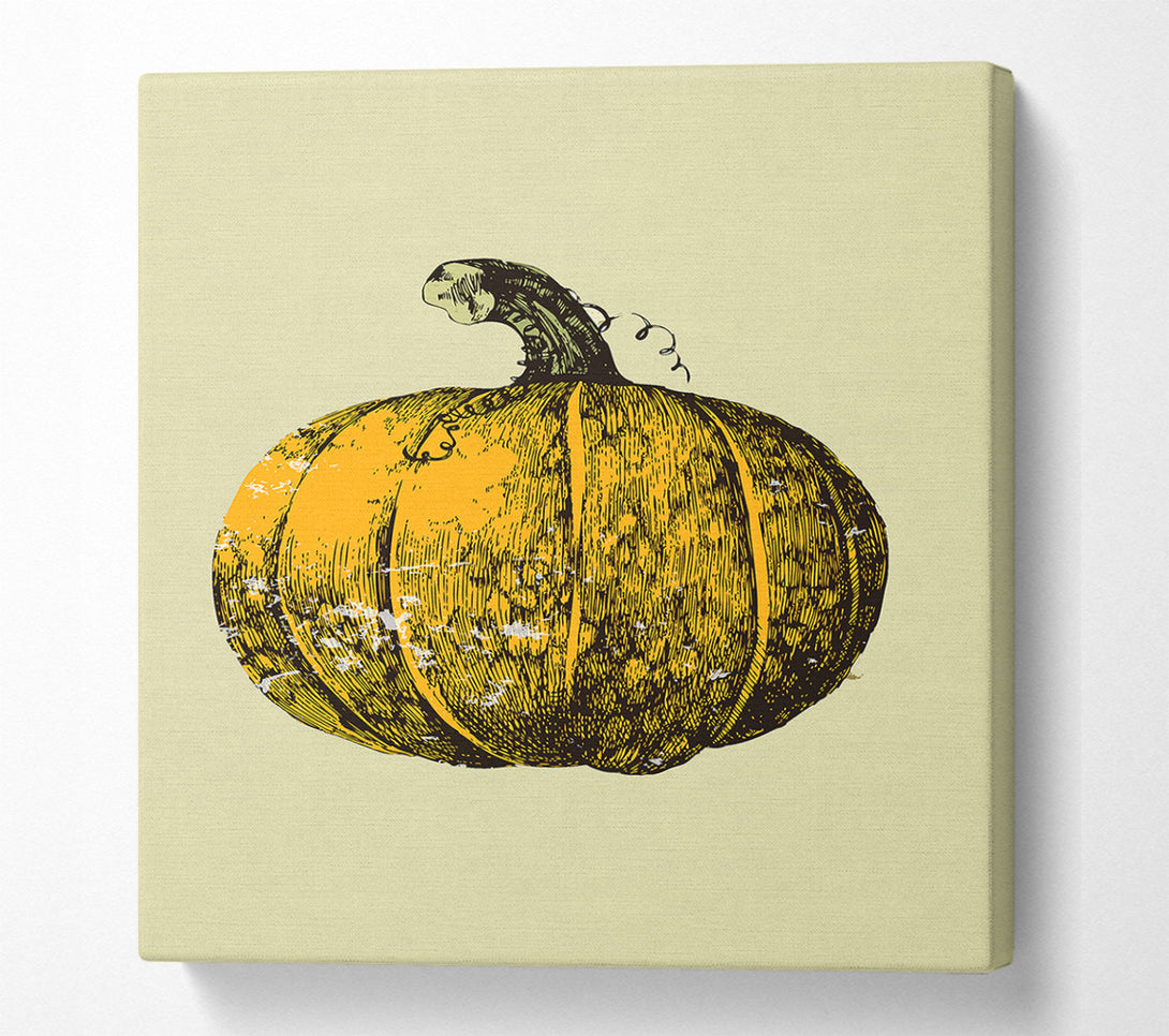  A Canvas Print of Pumkin Canvas Print