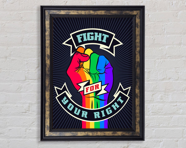 Fight For Your Right Framed Print