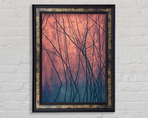 Through The Winter Trees Framed Print
