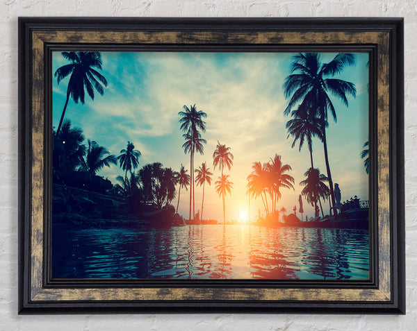 Palm Tree Waters Framed Print