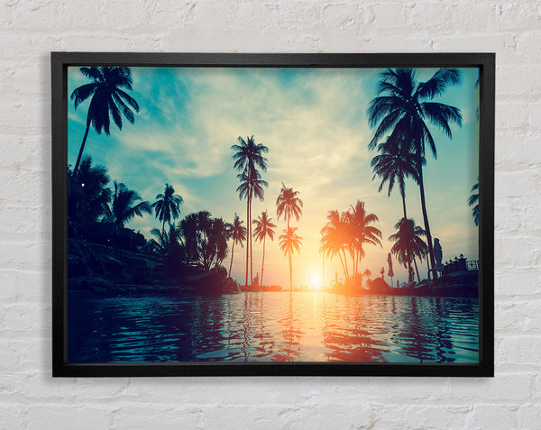 Palm Tree Waters Framed Print