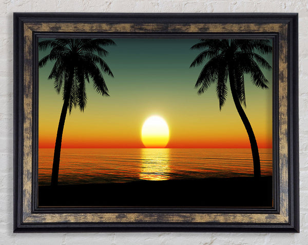 Palm Tree Bliss Framed Print