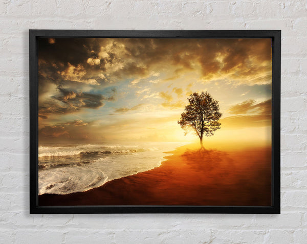 Reflections Of A Beach Tree Framed Print