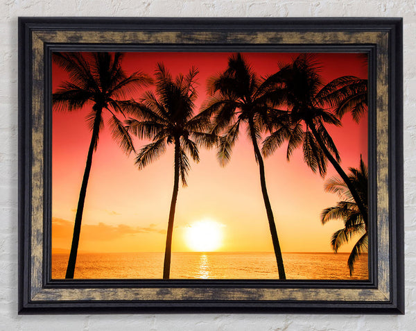 Sunset Between The Palm Trees Framed Print