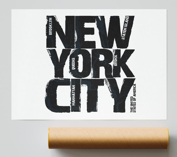 Nyc Districts Print
