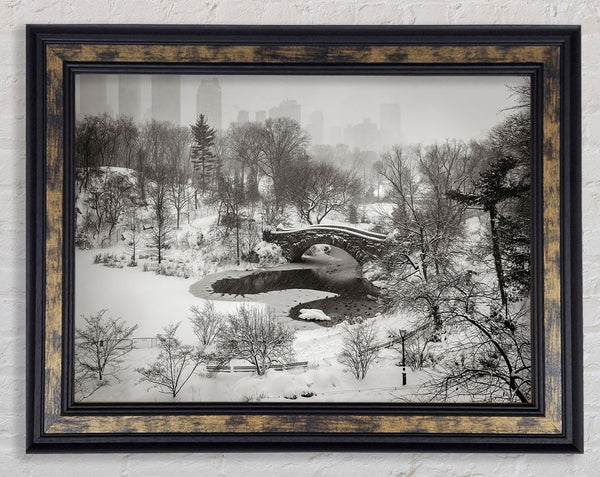 Snowing In Central Park Framed Print