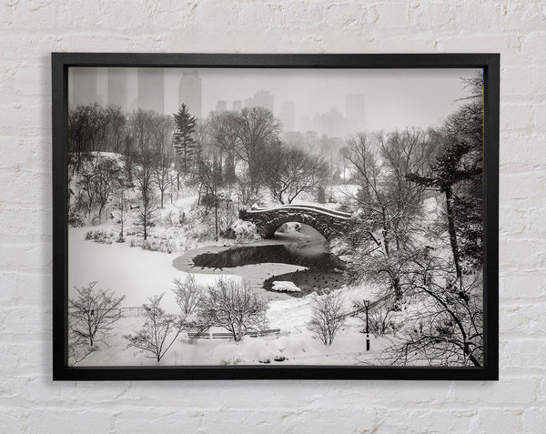 Snowing In Central Park Framed Print