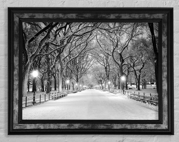 Winter Stroll Through Central Park Framed Print
