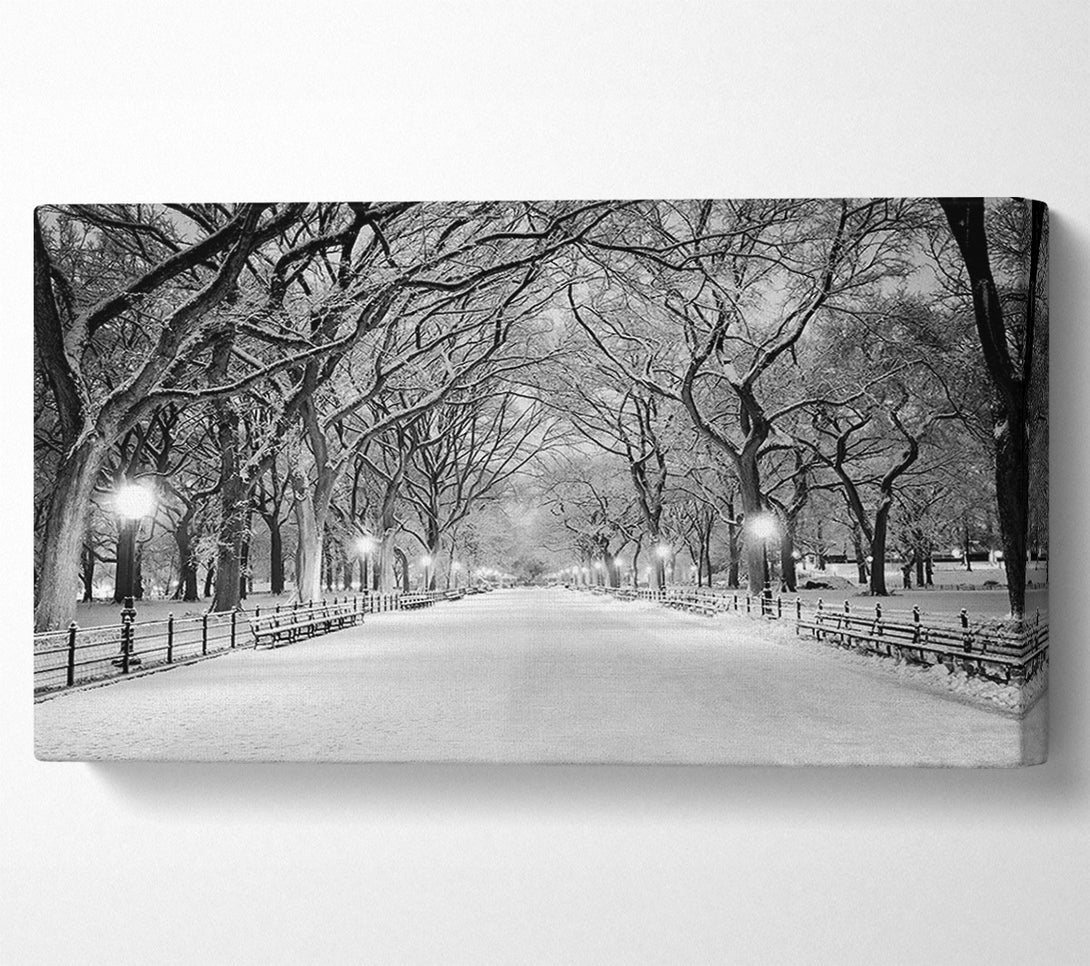  A Canvas Print of Winter Stroll Through Central Park Canvas Art