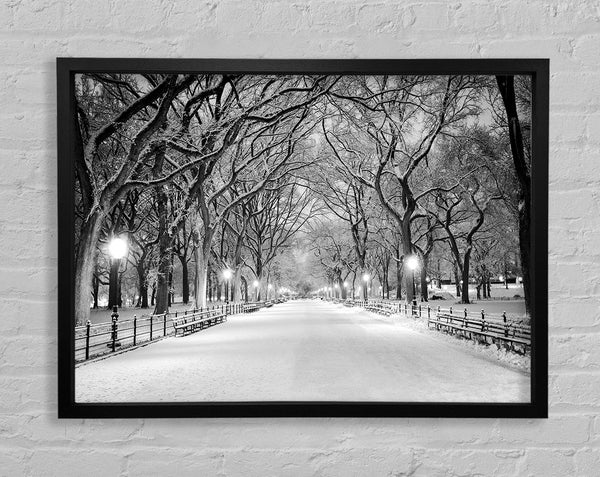 Winter Stroll Through Central Park Framed Print