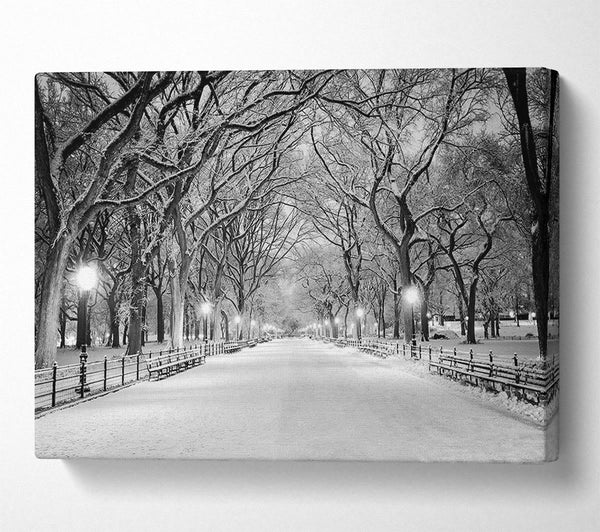 A Canvas Print of Winter Stroll Through Central Park Canvas Art