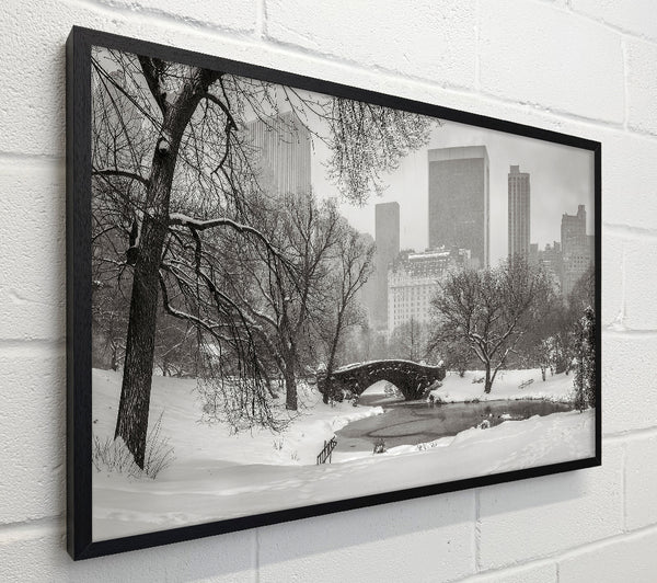 Winter Snow In Central Park