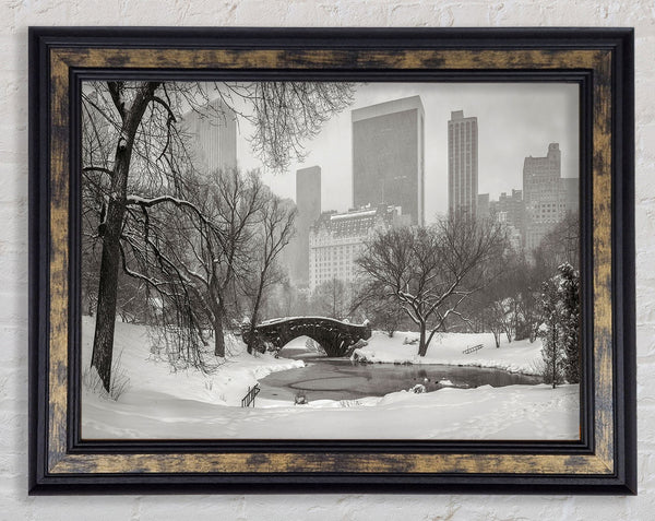 Winter Snow In Central Park Framed Print