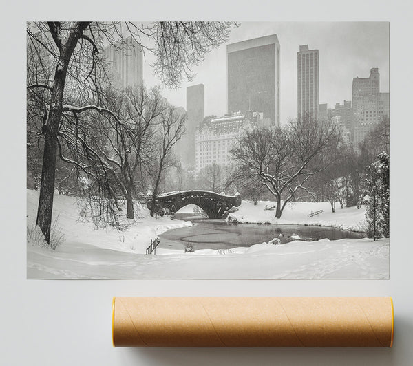 Winter Snow In Central Park Poster