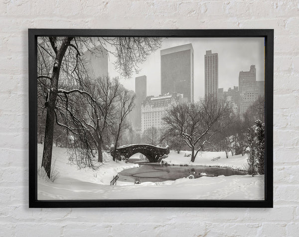 Winter Snow In Central Park Framed Print