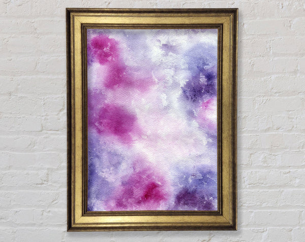 Carnation Wonder Framed Print