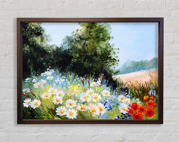 Daisy Days Framed Print