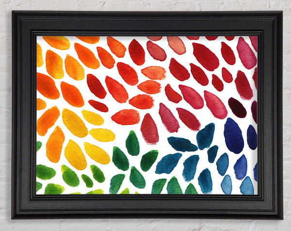 Four Seasons Framed Print