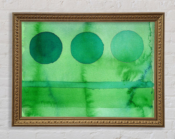 Forest Trees Framed Print